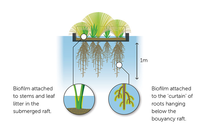 Diagram1