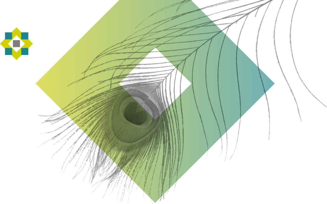 wb_approach_creation