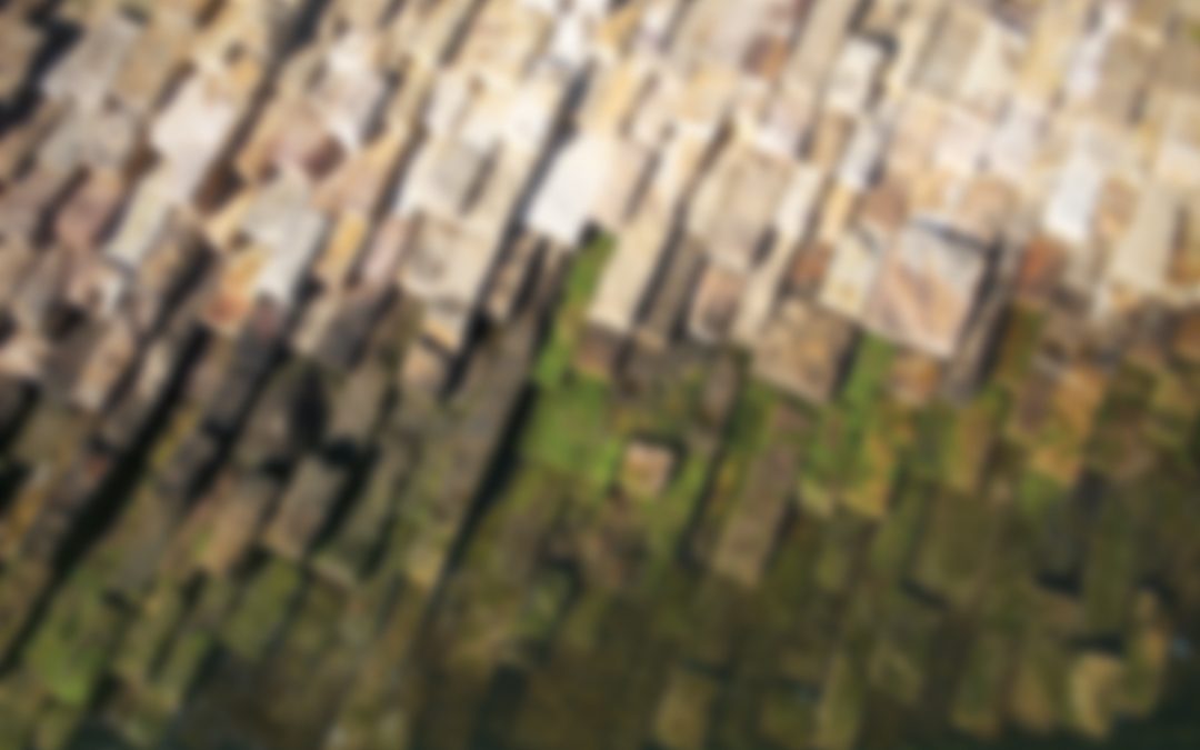 BD background 1