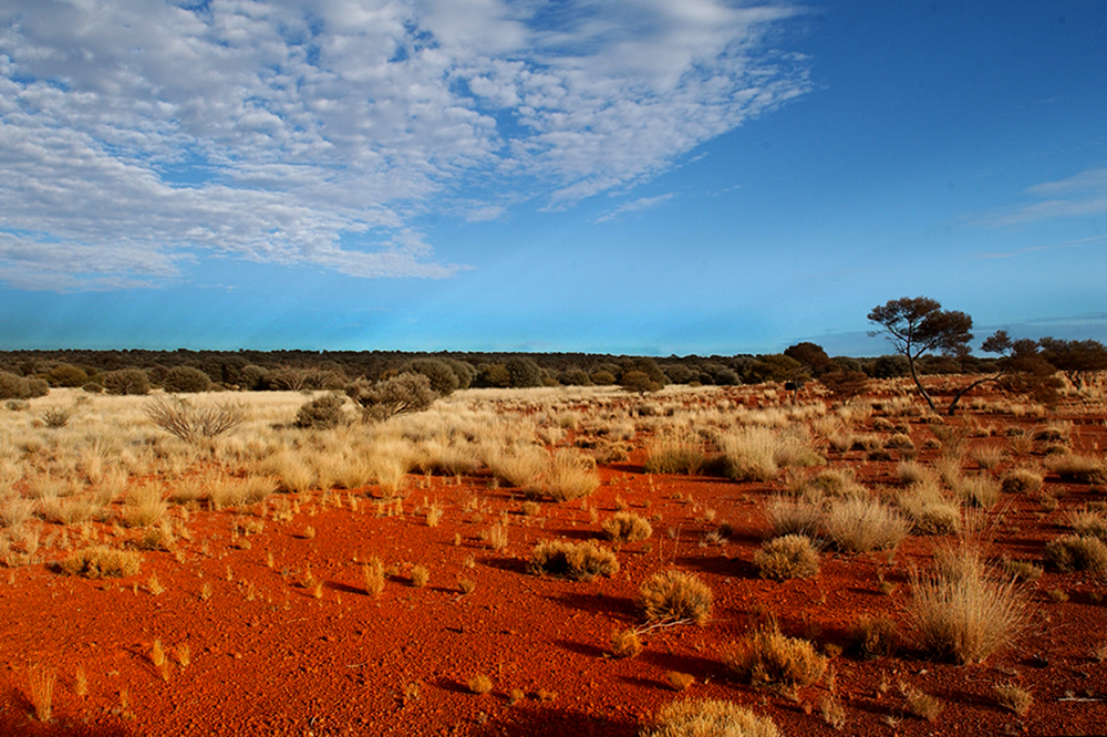 rn-research-homepage-banner