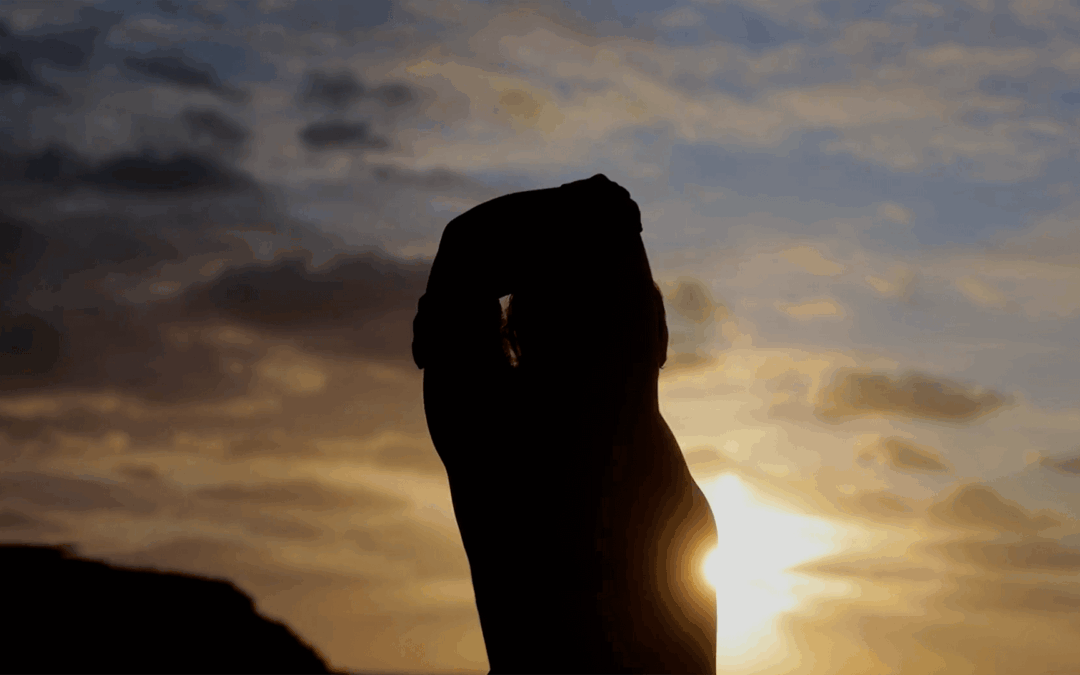 rl-video-swimmer