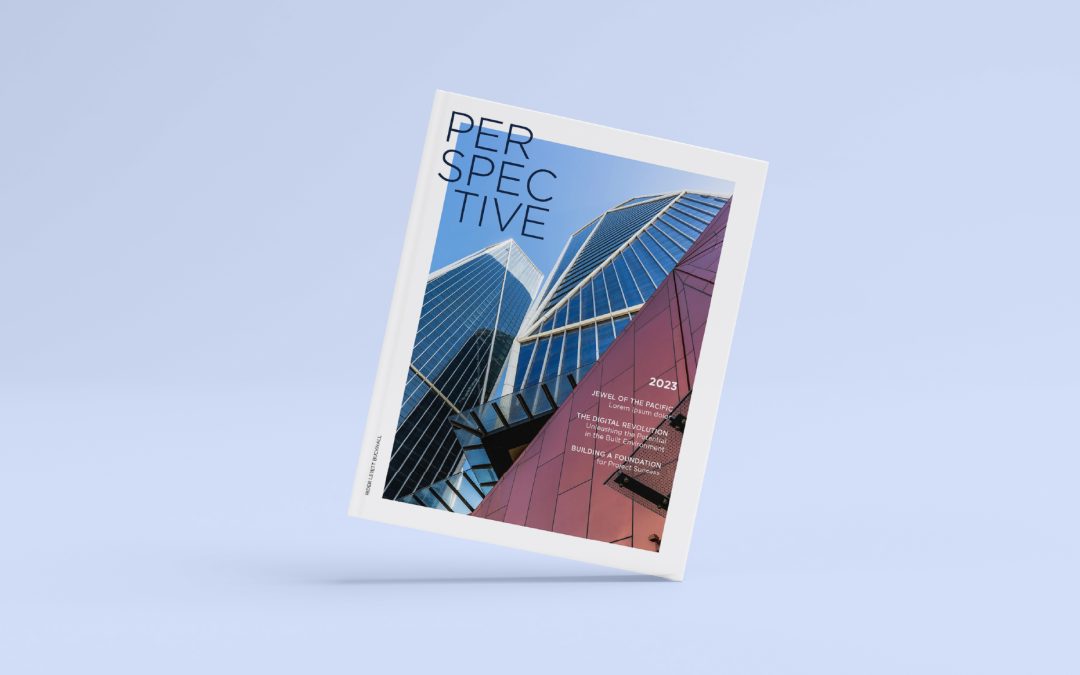 rl-perspective-cover